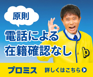プロミス商品画像
